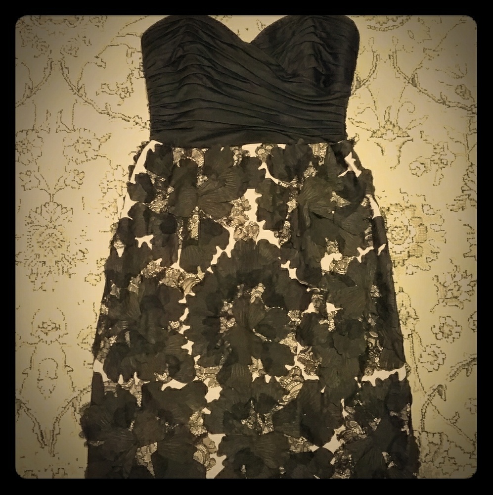 NWOT BCBGMaxAzria Strapless Black & Floral Dress
